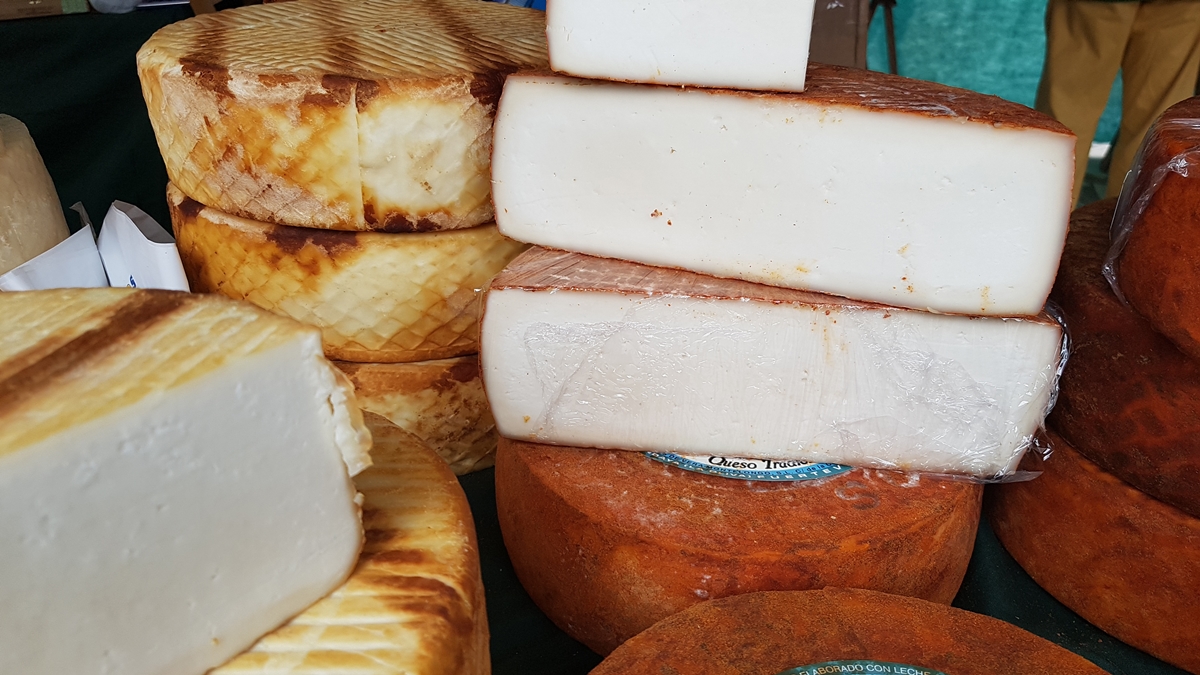 The best cheese in the Canary Islands is made in Lanzarote.