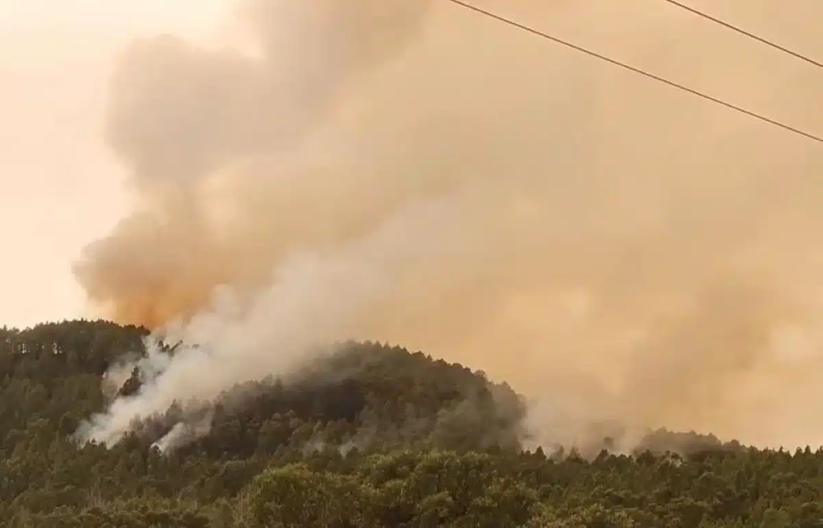 The Tenerife fire is still out of control, but "the worst is over".