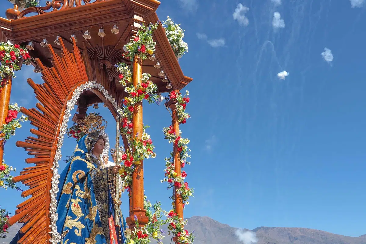 Over 30,000 devotees escort the Virgin to El Socorro in a massive procession.