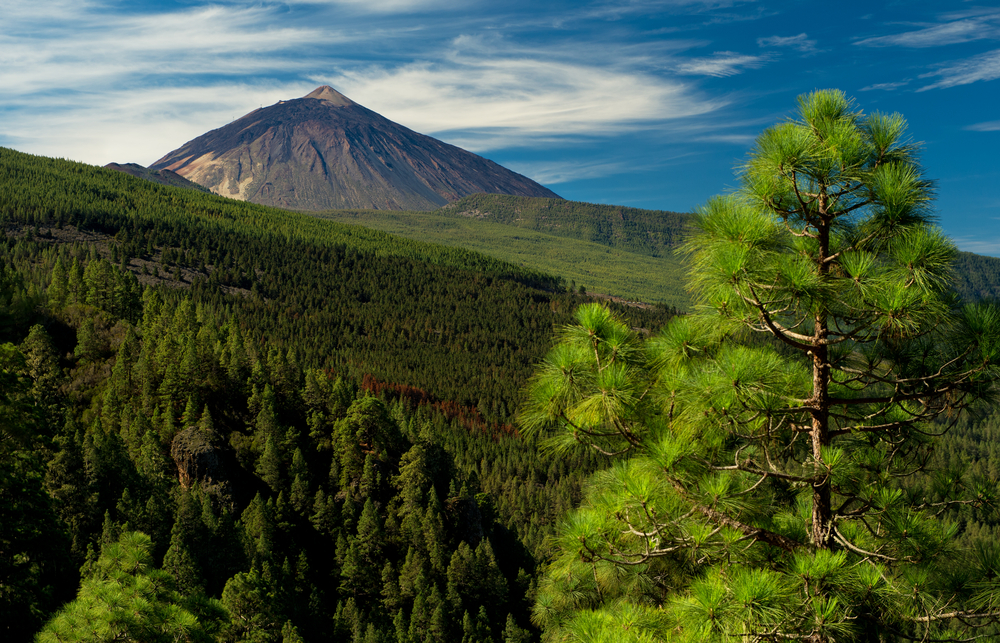 The Island Council of Tenerife is considering charging for access to the Teide National Park.