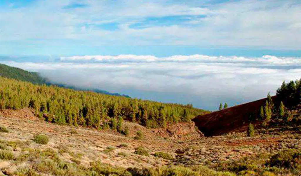 Top 10 mysterios sites to explore in Tenerife
