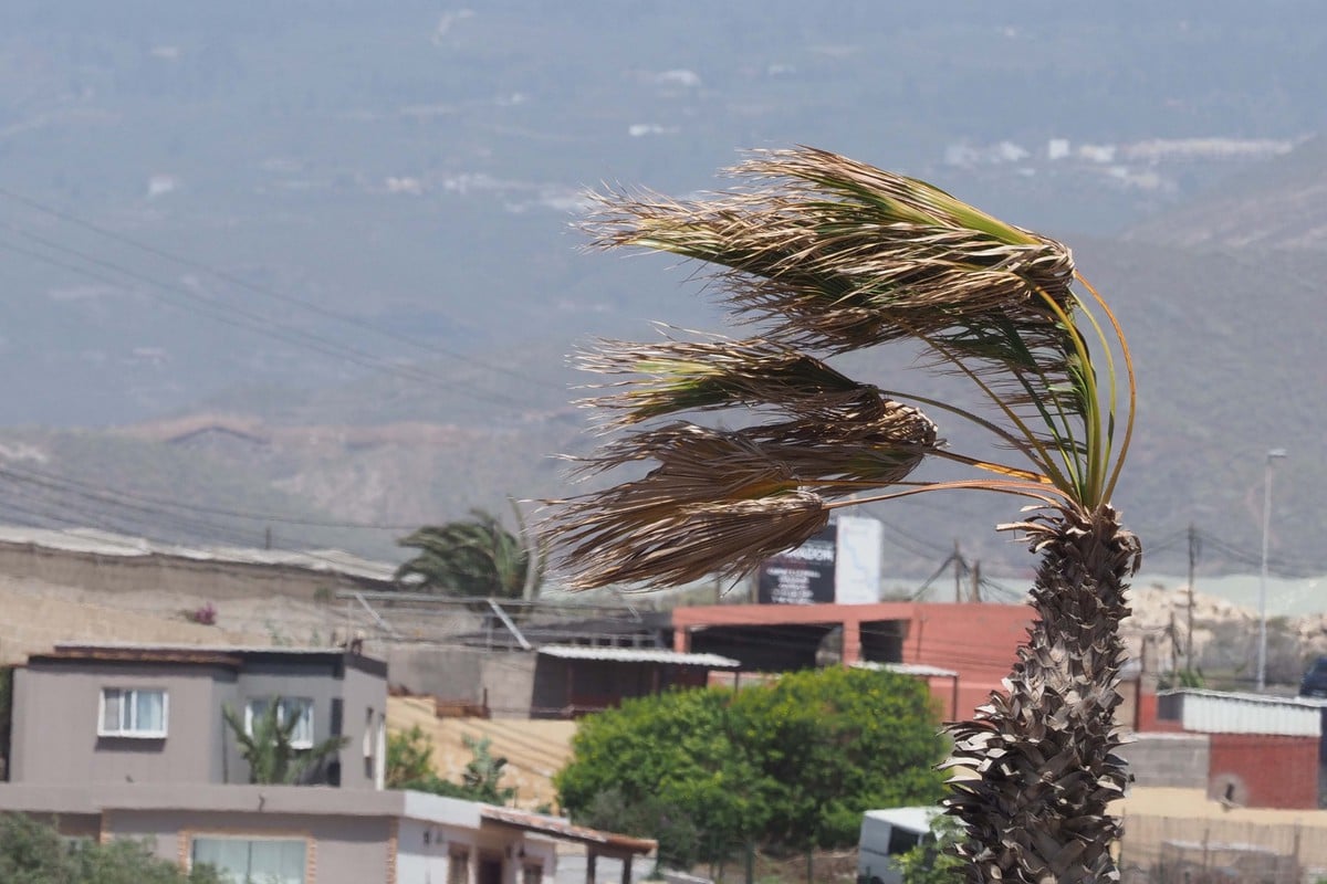The arrival of storm Irene: gusts of wind and light rain across the Canary Islands