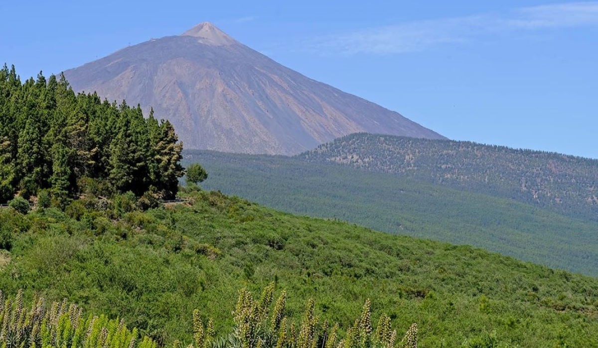 Tremors in Tenerife: Over 90 Earthquakes Recorded Amid Ongoing Volcanic Activity